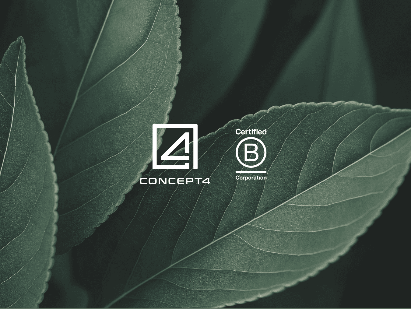 A close-up of green leaves with Concept4 and B Corp logo, emphasizing sustainability