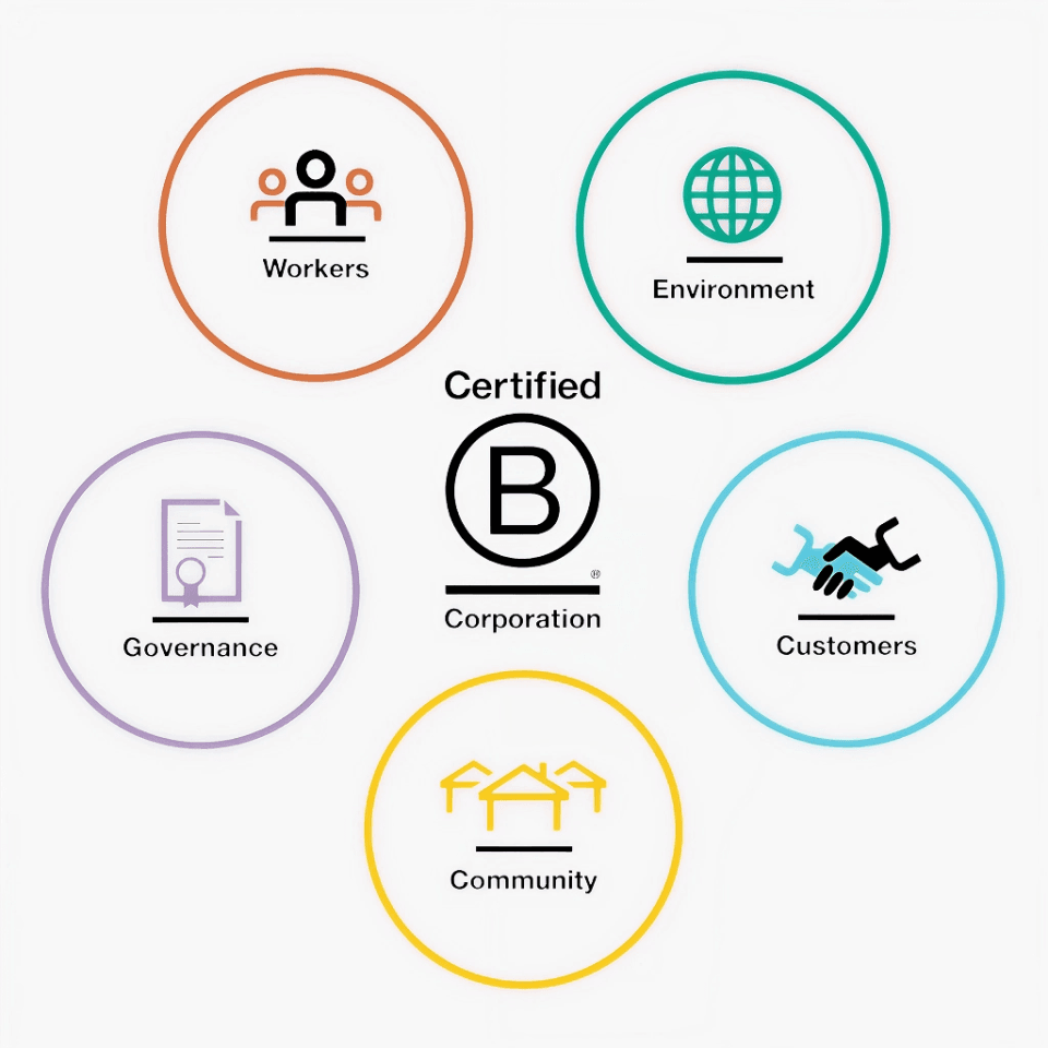 B Corp 5 impact areas