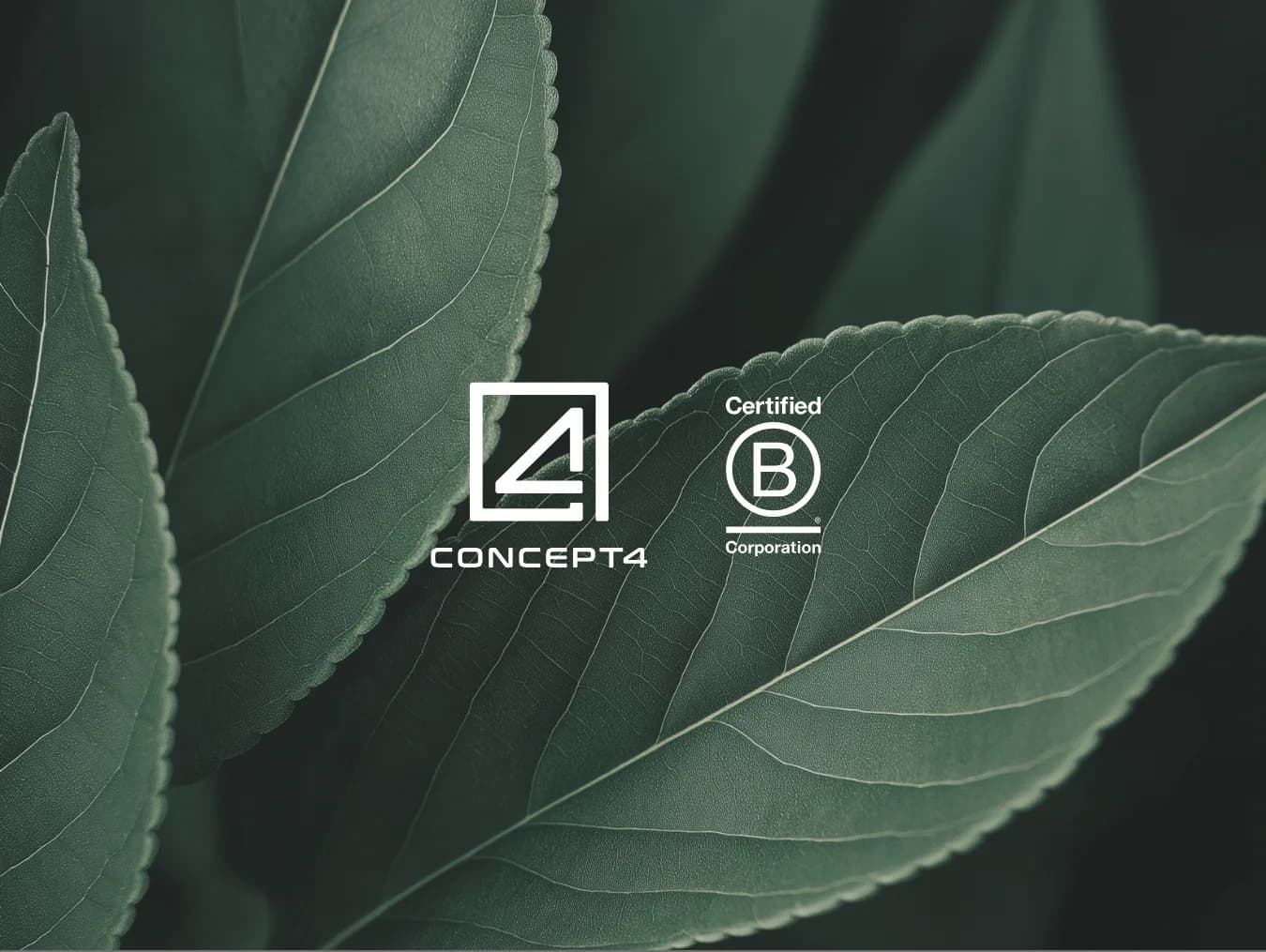 A close-up of green leaves with Concept 4 and B Corp logo, emphasizing sustainability